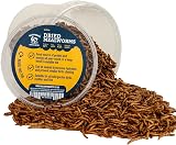 Walter’s Meal Worms 1L Tub - Dried Mealworms for Birds, Premium Protein view 6