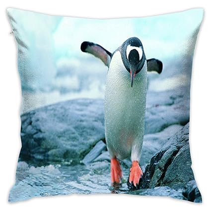 Amazon Com Lovexue Throw Pillows Covers Penguin Cute Pillow Case