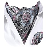 HISDERN Ascot Ties for Men Paisley Cravat Tie and Pocket Square Set Floral Mens Ascot Scarf Handkerchief Wedding Party
