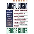 Microcosm: The Quantum Revolution In Economics And Technology