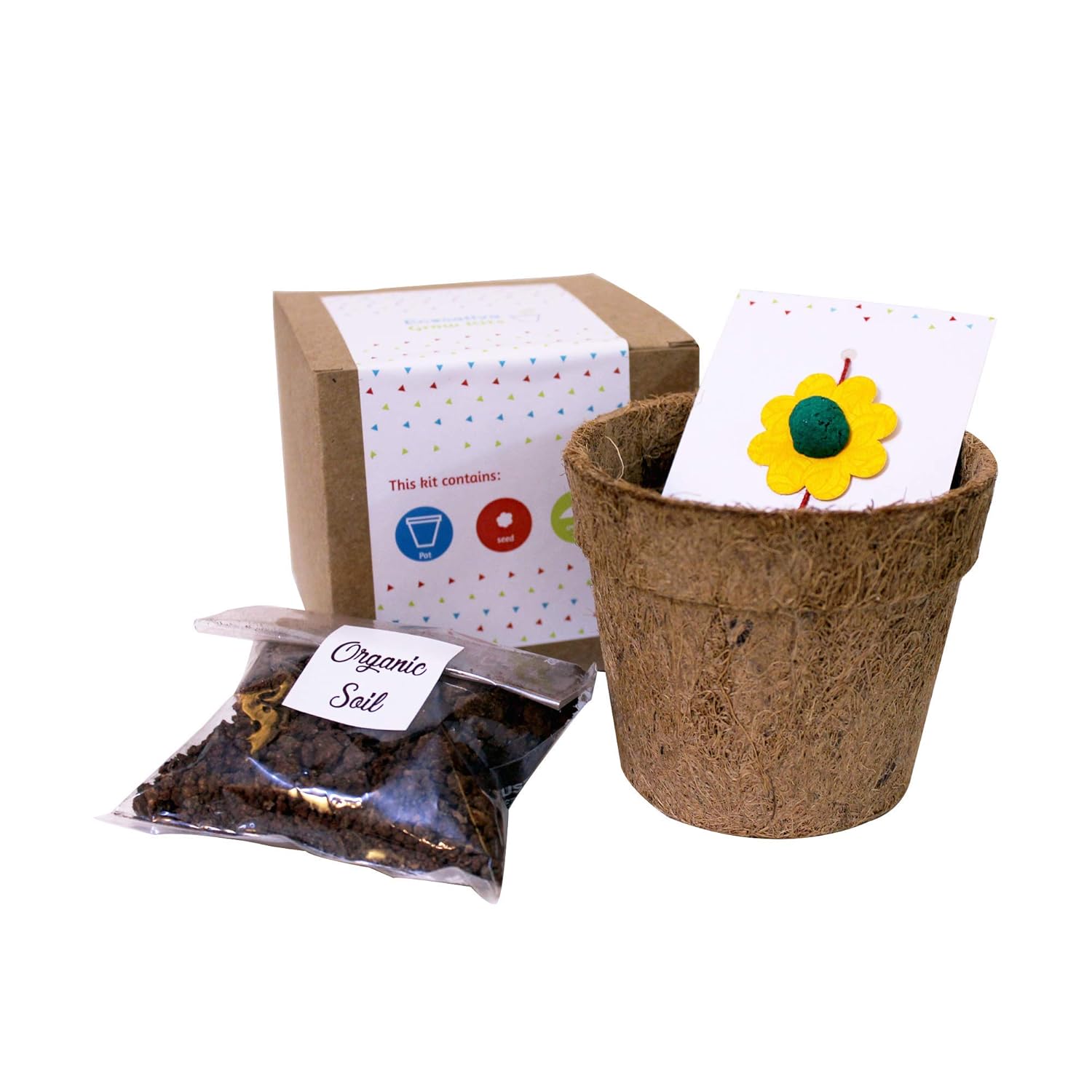 Ecosattva Grow Your Own Plant Kit for Gifting Amazon.in Garden & Outdoors