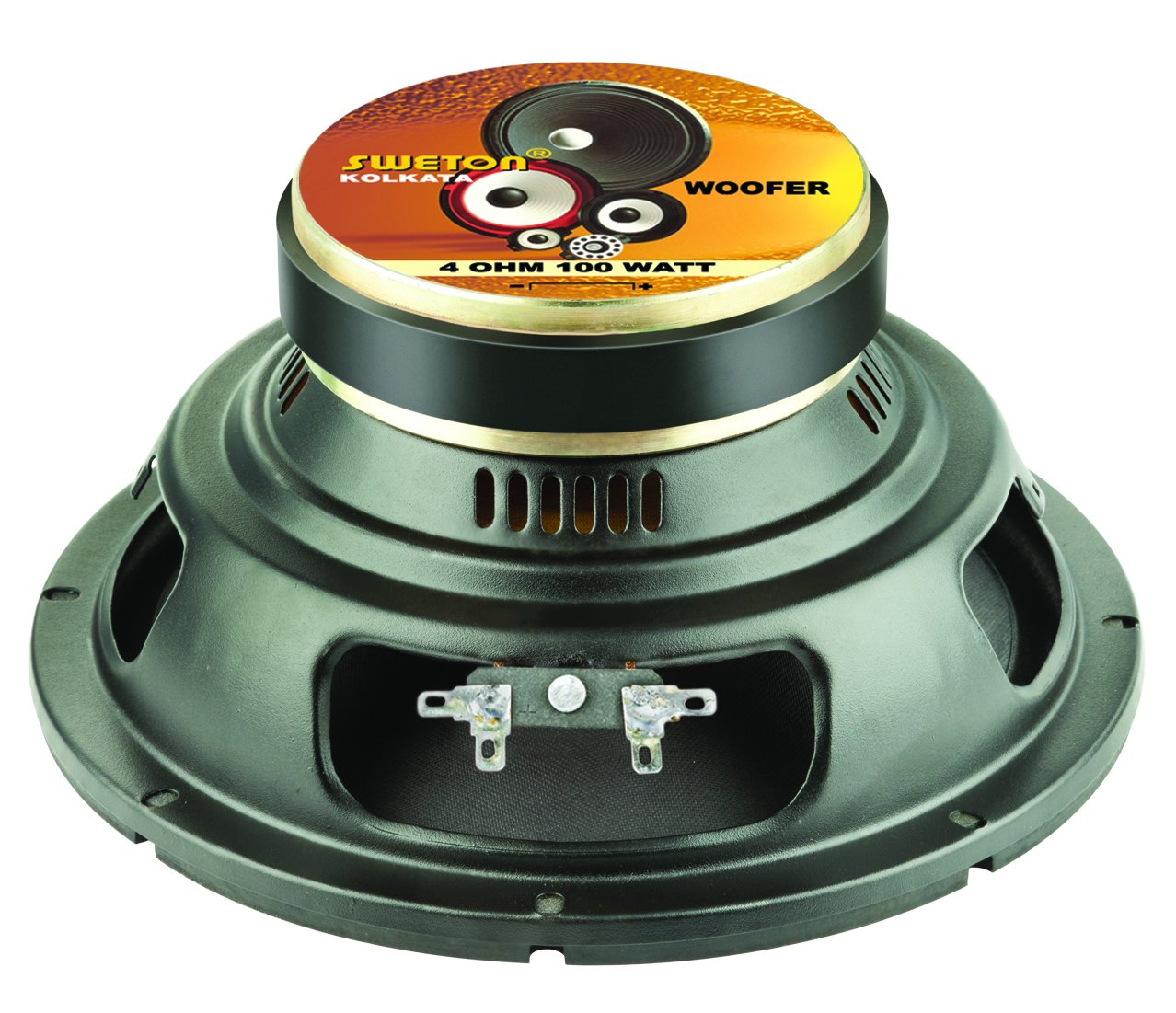 10 inch 100 watt subwoofer