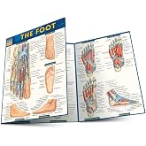 Anatomy of the Foot: a QuickStudy Laminated Reference Guide (Quick Study Academic)