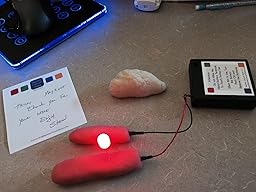 Amazon.com: Squishy Circuits Kit: Toys & Games