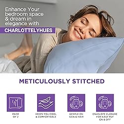 1000 Thread Count King Sky Blue Pillowcases Set of
