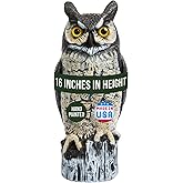 Dalen Large Fake Owl Decoy to Scare Birds Away - 16 in Hand-Painted Great Horned Owl Garden Scarecrow for Natural Pest Control - Fixed Head Design - Secure Upright by Filling with Sand/Gravel Only