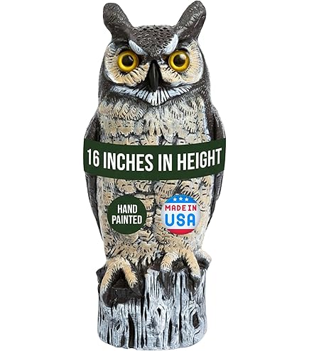 Amazon.com: Ugold Solar Powered Garden Owl with Motion Detection