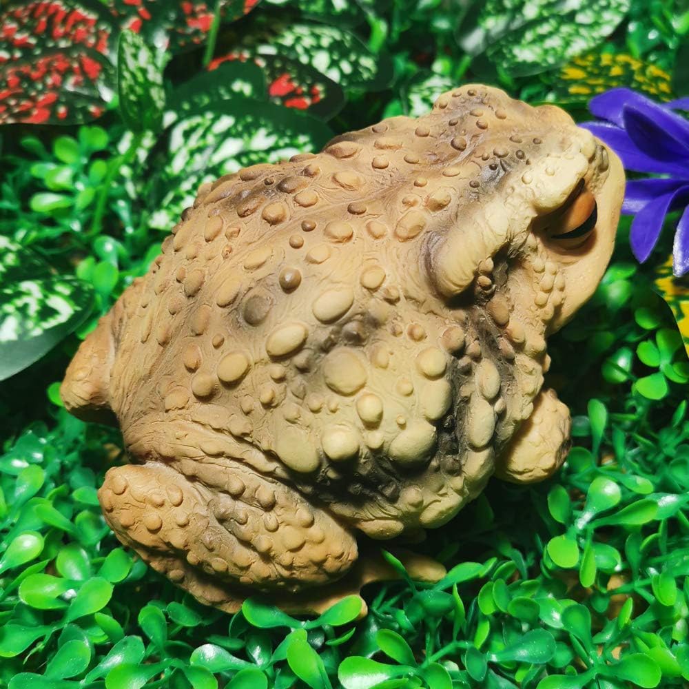 Muse Design Frog Toad Sculptures Garden Statues Yard Art Resin Decorations Outdoor Garden Décor : Garden & Outdoor