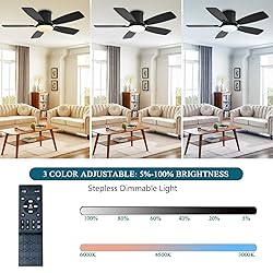 Ayaoty Ceiling Fans with Lights, 42 inch Low