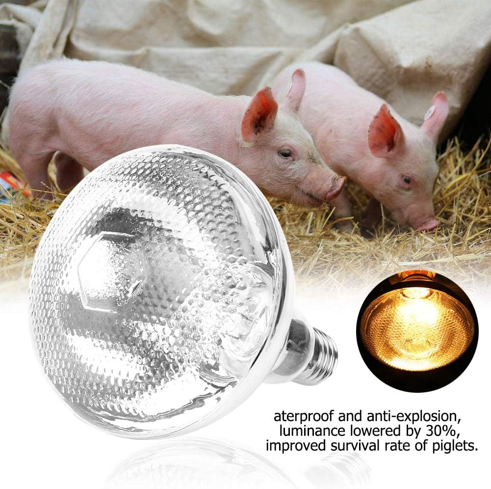 Haofy Poultry Heat Lamp - Image 4