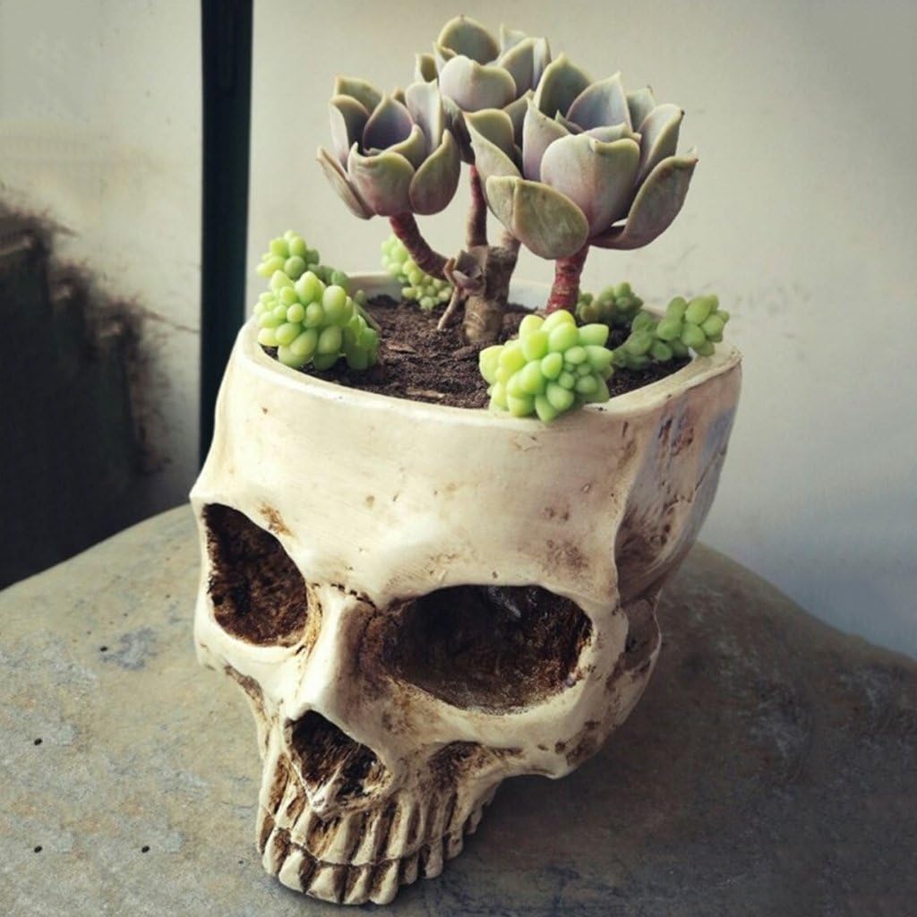 Autone Human Skull Head Design Flower Pot Planter Container Craft ornaments Home Decor