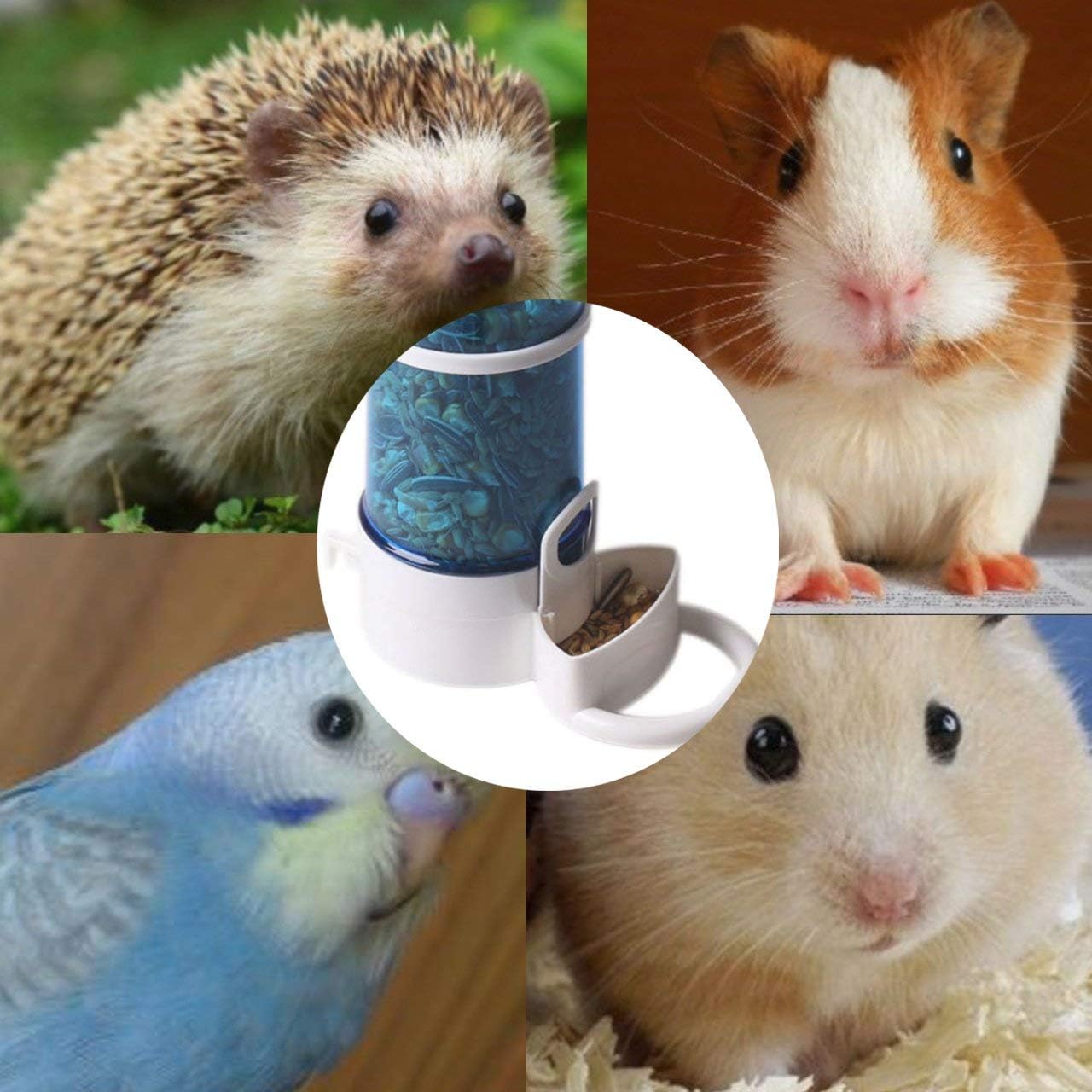 Amazon 自動給餌器 給水器 えさ入れ ハムスター リス 小鳥 鳥に 小動物用 ペット用品 自動フィーダ フィーダー ケージ固定 ゲージに設置 食器 エサ皿 飼育 餌やり 水やり 水飲み エサ入れ容器 スリム 軽量 簡単取り付け Barberce 自動給餌器 通販