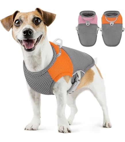 Dog Cooling Vest Dog Camping Jacket Dog Cooling Vest, Breathable