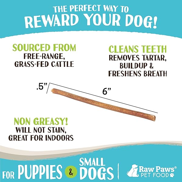RAW PAWS STANDARD BULLY STICKS FOR SMALL DOGS, 6″ (10 PACK) – LOW ODOR JUNIOR BULLY CHEWS – FREE-RANGE PIZZLE STICKS FOR DOGS – SINGLE INGREDIENT DOG CHEWS – RAWHIDE ALTERNATIVE – LONG LASTING