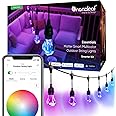Nanoleaf Essentials Matter Smart Multicolor Outdoor String Lights Smarter Kit with Addressable RGBICW LED Bulbs, White and Color-Changing, Wi-Fi + Bluetooth, IP 65 Water Resistant (49ft (20 Bulbs))