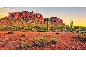 AWERT 36x24 inches Reptile Habitat Background Sky Oasis Mountain Cactus Sun and Desert Terrarium Background Durable Polyester Background