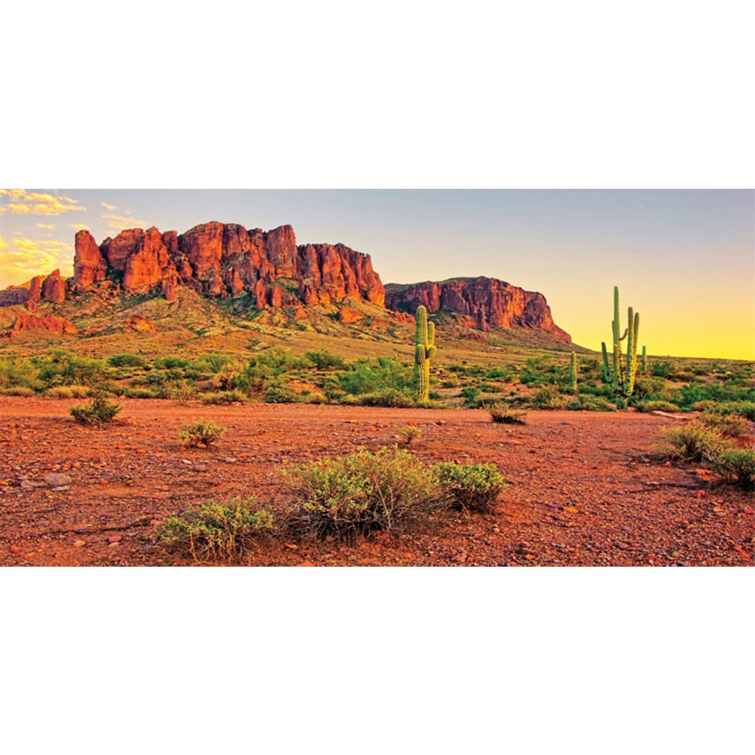 Photo 1 of AWERT 72x18 inches Reptile Habitat Background Sky Oasis Mountain Cactus Sun and Desert Terrarium Background Durable Polyester Background