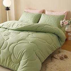 CLOTHKNOW Green Twin/Twin XL Comforter Set 3Pcs