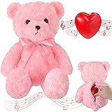 Hungdao Bear Stuffed Animal With Voice Recorder