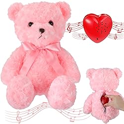 Hungdao Bear Stuffed Animal With Voice Recorder