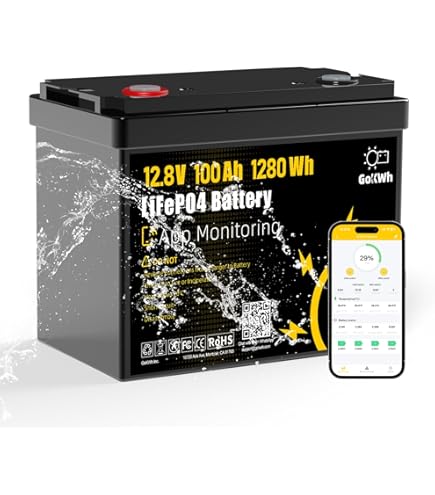 Amazon.com: Li Think 12.8V 100Ah LiFePO4 Battery, 4000+ Deep