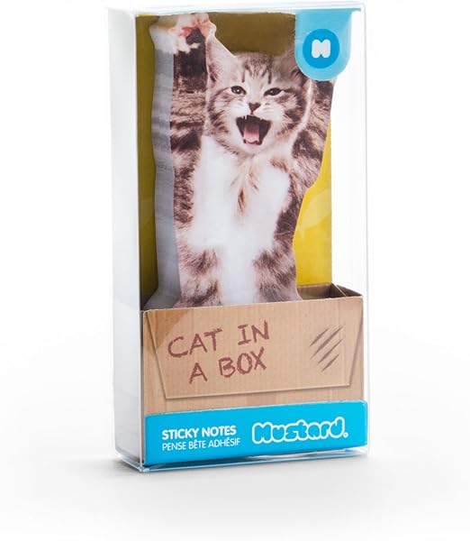 Amazon Com Mustard Sticky Post Notes Memo Pad Cat In A Box Office Products