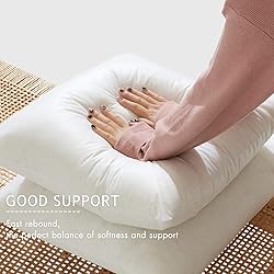 MIULEE Pillow Insert 14x20 Inch, Decorative