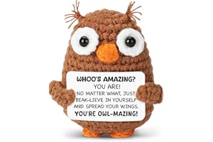 TINY DETALLES Funny Owl Crochet, Crocheted Animals as Owl Decor, Unique Birthday Gift, Inspirational Gifts for Women Men, Cute Crochet Plushies for Friends, Family, Coworkers, Cheer Up Gifts for Women