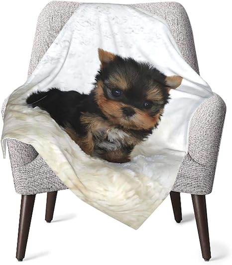 Amazon Co Jp ティーカップヨークシャーテリア子犬毛布 ひざ掛け ブランケット Blanket ハーフケット 暖かい ブランケット 赤ちゃん ベビータオルケット キャラクター 毛布 お昼寝 あったか ポリエステル100 大判 軽い 暖かい柔らかい 子供 キッズ用 通気性 保温性