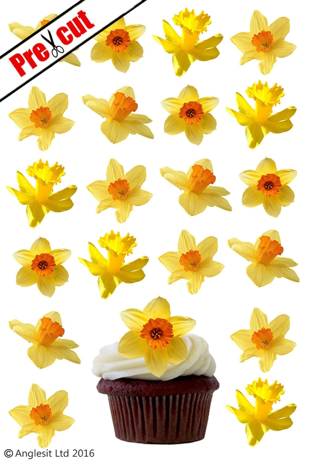24 X DAFFODIL FLOWERS EDIBLE WAFER /RICE PAPER CUPCAKE CAKE TOPPERS