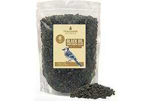 TRAILMARK NATURALS - 6 Pound Black Oil Sunflower Seeds for Birds – Premium Wildlife Food – Non - GMO -Grown in The USA - Black Oil Sunflower Seeds for Wild Animals and Backyard Feeders