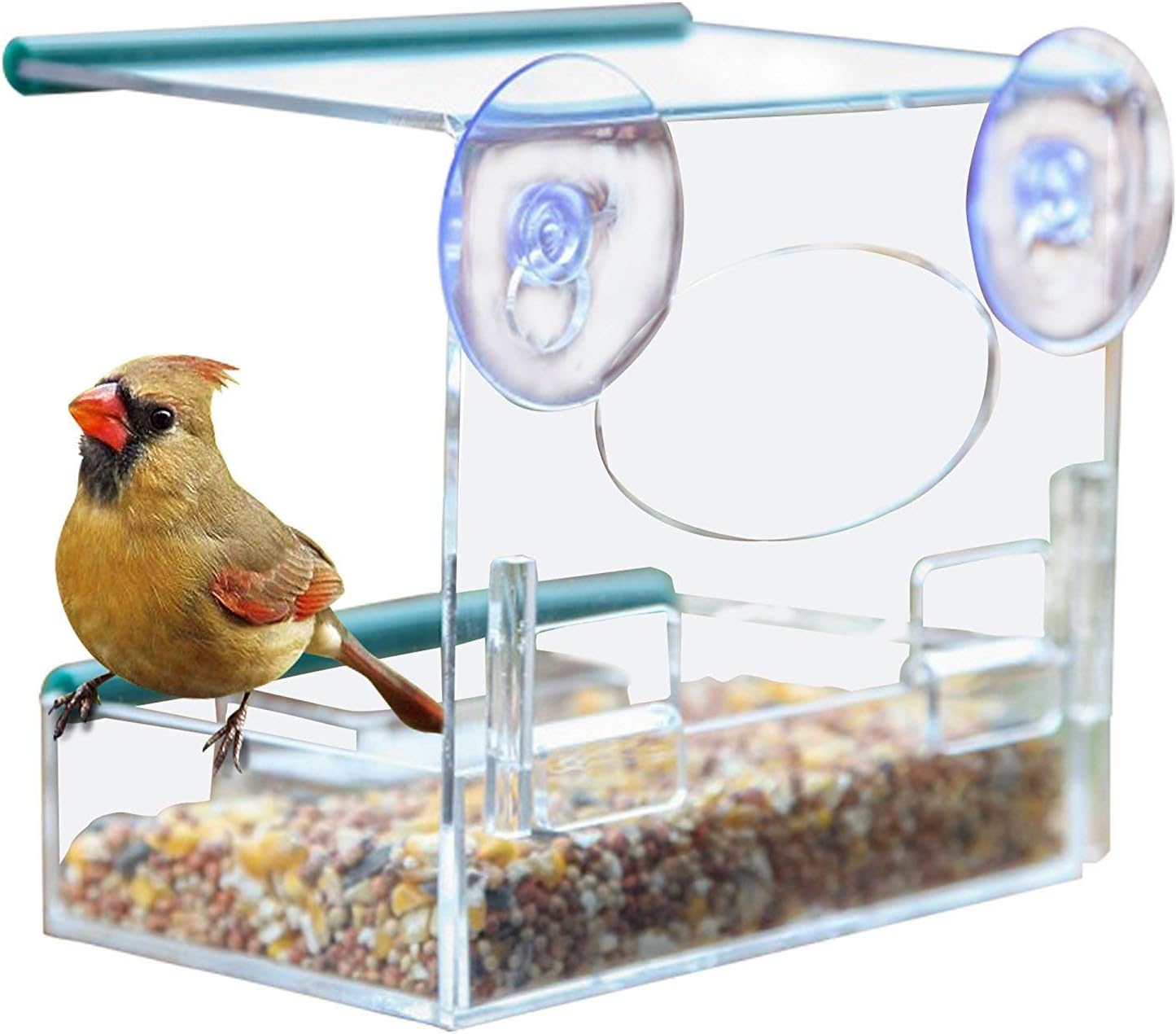 Window Bird Feeder with 2 Powerful Suction Cups, Can Hold