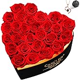 Casaido Preserved Roses Flowers for Delivery 27 Pcs, Vanlentines Day Gifts for Her, Forever Flores in Heart Box with Necklace, Anniversary Birthday Christmas Rose Gift for Women Wife Girlfriend, Red