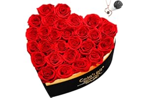 Casaido Preserved Roses Flowers for Delivery 27 Pcs, Forever Flores in Heart Box with Necklace, Eternal Rose Anniversary Birthday Gift for Women Wife Girlfriend, Rosas for Valentines Christmas, Red