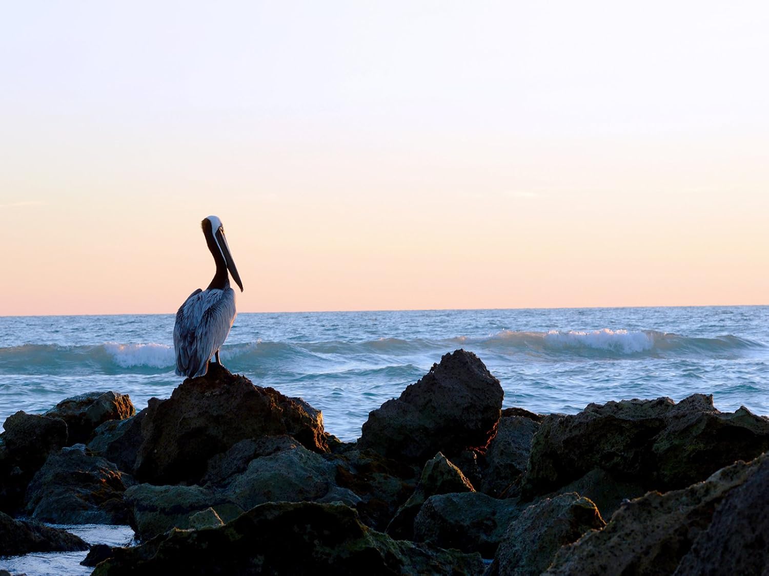 Florida Poster Florida Art Caspersen Beach Venice Florida Sunset Picture 18x24