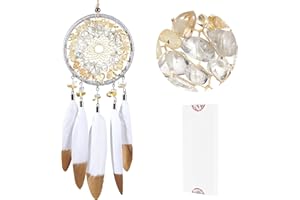 HOLSM-III Warm Yellow Dream Catchers - Handmade Paint Goose Feather, Clear Quartz and Citrine, Small Dreamcatcher for Bedroom, A dream Catcher for Girls, Dream Catchers for Boys, Dream Catcher Wall Decor