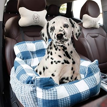 amazon siege auto chien