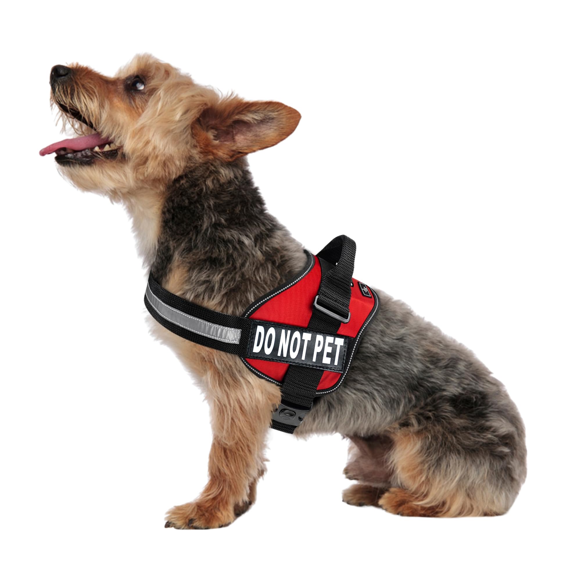 Doggie Stylz Dog Harness with DO NOT PET Patches – No Pull Service Dog Vest and Service Animal Vest for Dogs – Adjustable Gentle Leader for Dogs – Reflective, Heavy-Duty for Training and Walking