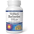 Natural Factors Wellbetx Berberine 500 Mg, 60 CT