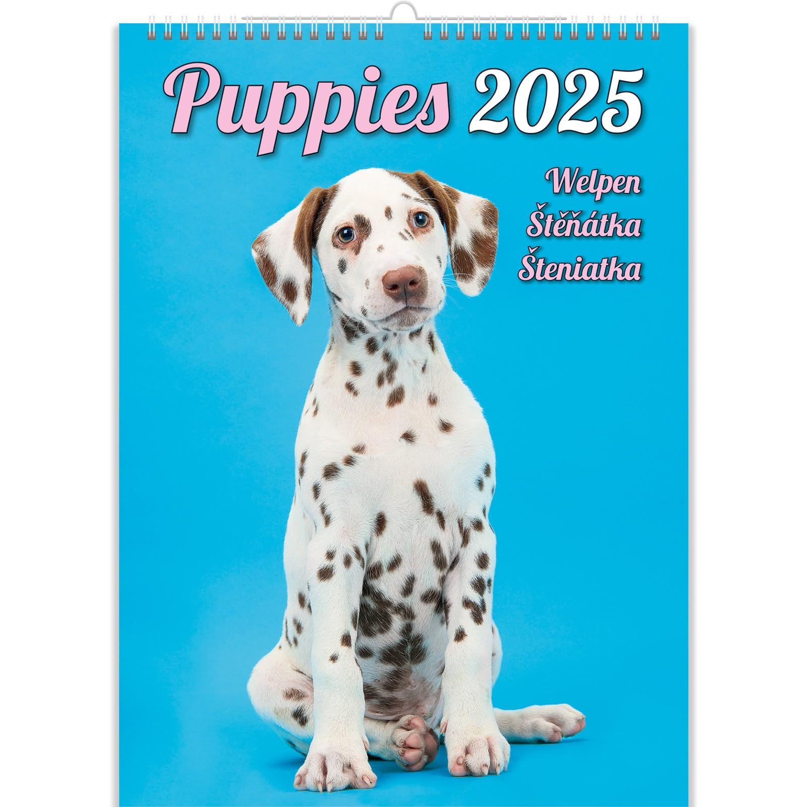 Kalpa C181-24 Puppies Calendar 2024