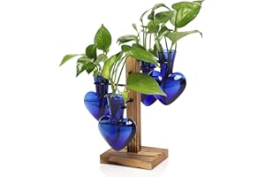 CYZGLASS Plants Propagation Stations Plant Terrarium Kit Glass Planters for Indoor Plants House Plant Accessories Gift for Women - 4 Love Vase