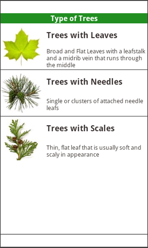 North American Trees!