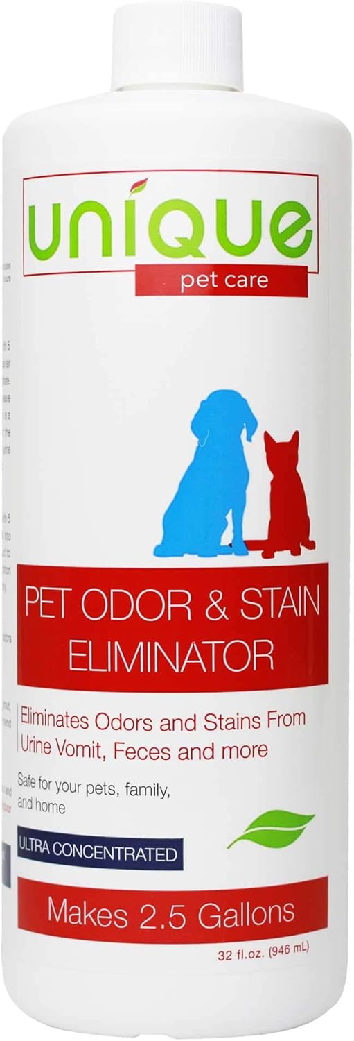 best dog breeds for warm climates