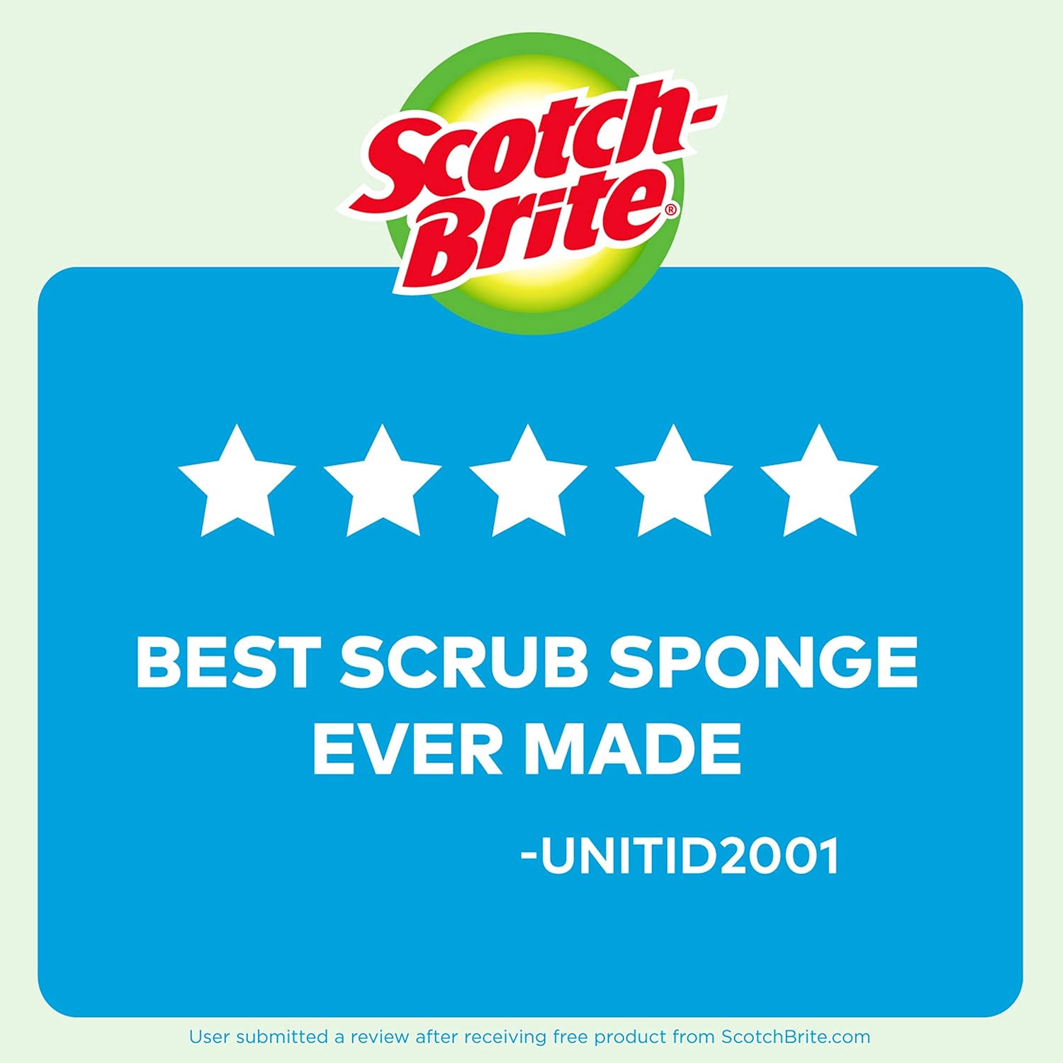 Scotch-Brite Non-Scratch Scrub Sponges, 6 Scrub Sponges, Lasts 50% Longer than the Leading National Value Brand: Health & Personal Care