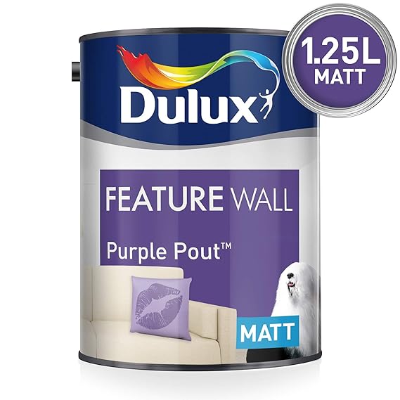 Dulux Feature Wall Matt Emulsion Paint For Walls And Ceilings Purple
