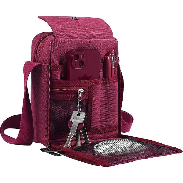 Amazon.com: dealcase Small Messenger Bag Casual Shoulder Bag