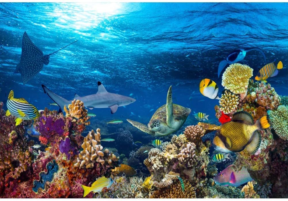9x6ft Cartoon Underwater World Backdrop Vinyl Photography Background Under The Sea Seabed World Tropical Shark Colorful Coral Reef Turtle Background Photo Studio Props