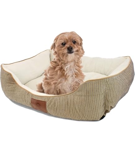 Amazon Akc Orthopedic Dog Bed Orthopedic Dog Beds For Large Dogs