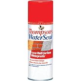 Thompson&rsquo;s WaterSeal Multi-Surface Waterproofer Stain, Clear, 12 oz Aerosol Can
