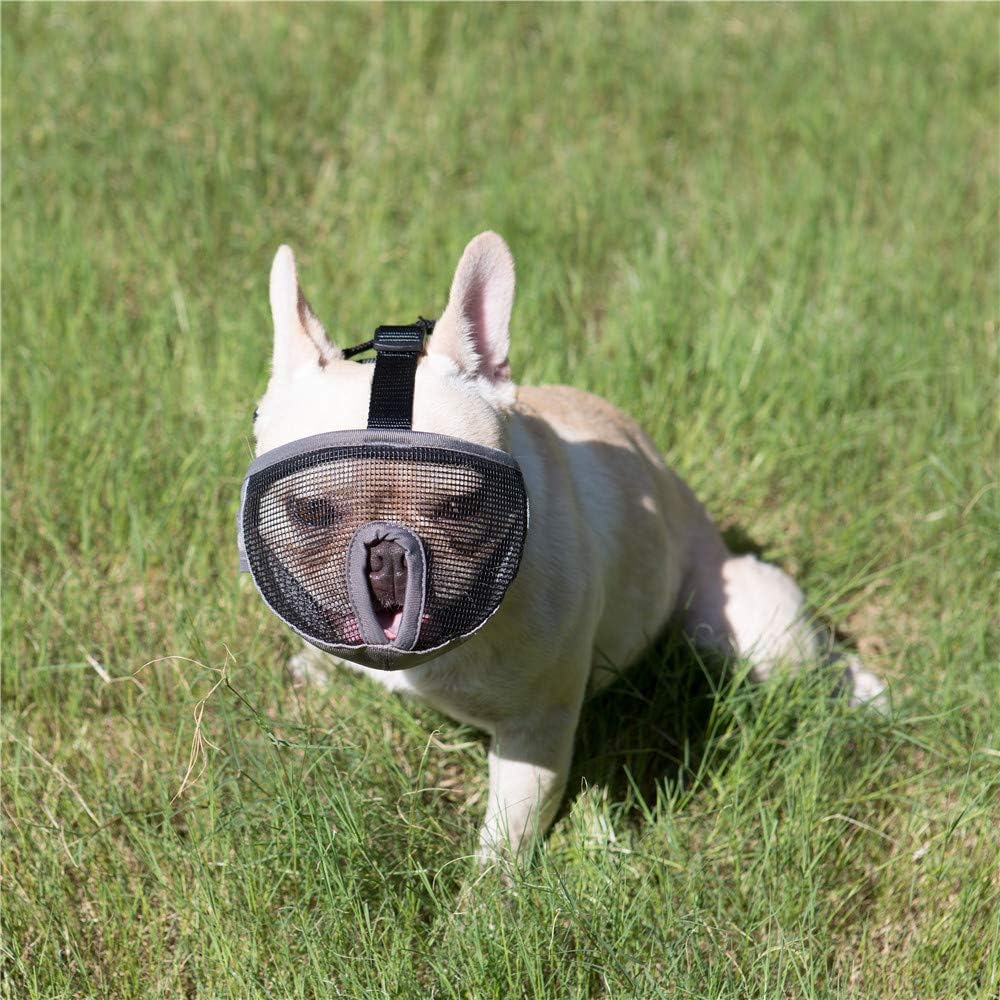 Pekingese atmungsaktiv Englische Bulldogge JYHY Maulkorb für Hunde mit